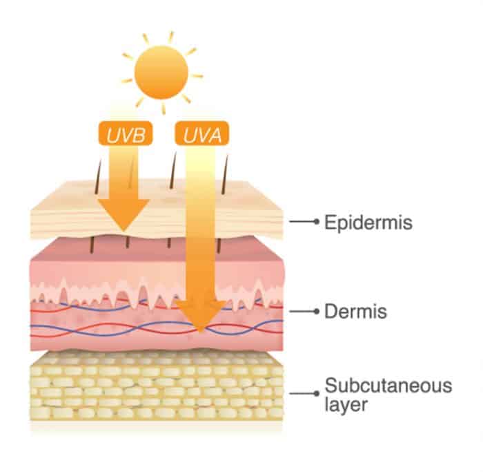 Uv Exposure: Protections Against Skin Cancer 